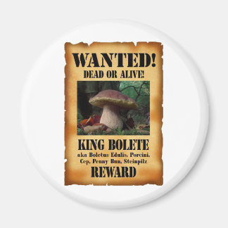 Aimant Le roi Bolete - Recherché mort ou vivant