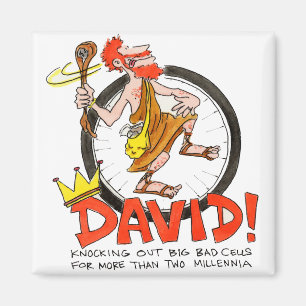Aimant Le Roi David Pin