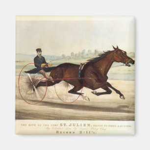 Aimant Le roi du gazon, 'St Julien