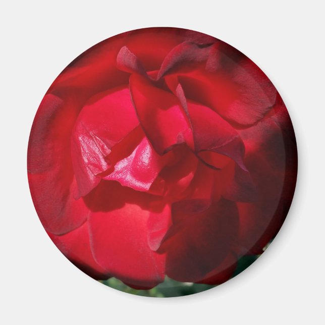 Aimant Le rouge de l'automne (Devant)