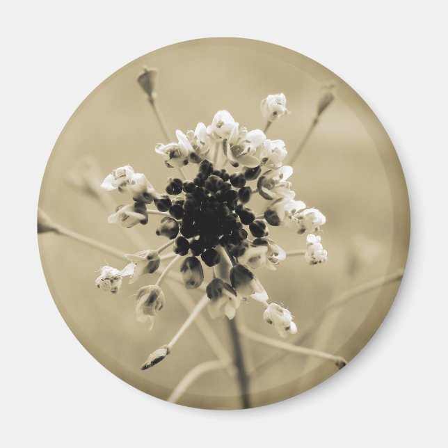 Aimant Le sac de berger à Sepia (Devant)