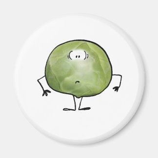 AIMANT LE SEMI-SPROUT