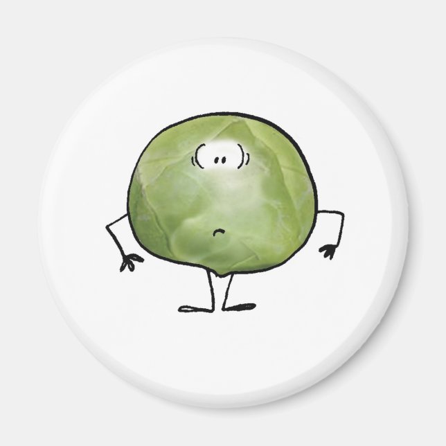 AIMANT LE SEMI-SPROUT (Devant)