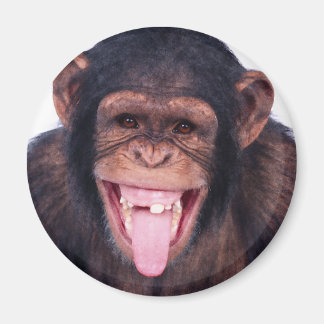 Aimant Le singe riant