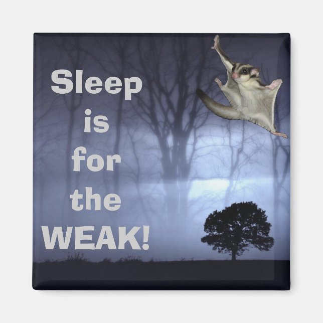 Aimant Le sommeil est pour la FAIM ! (Devant)