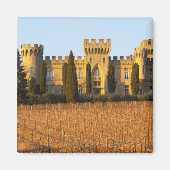 Aimant Le vignoble avec des vignes de syrah et le château (Devant)