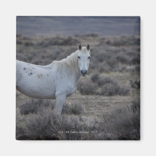 Aimant le Wyoming, Etats-Unis d'Amérique
