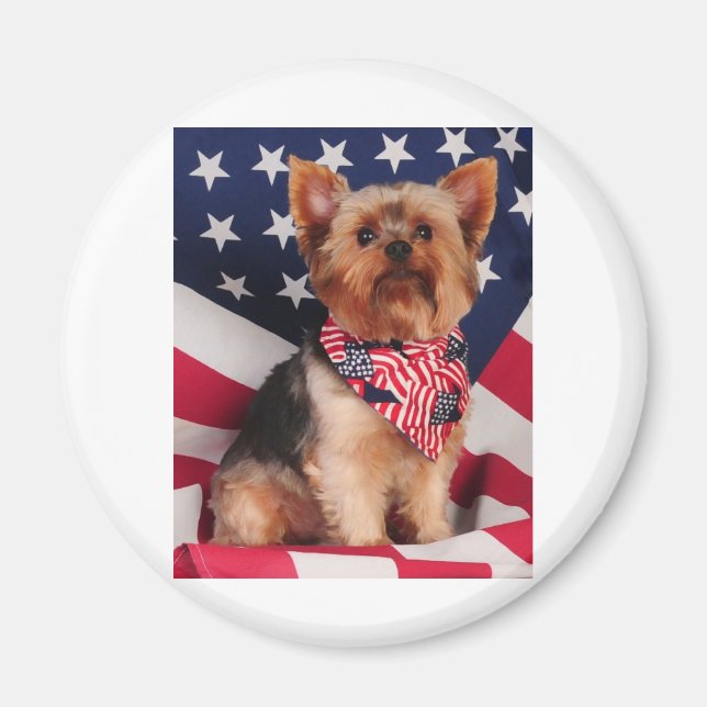 Aimant Le Yorkie américain (Devant)