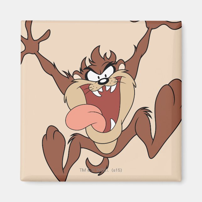 Aimant Leapage TAZ™ (Devant)