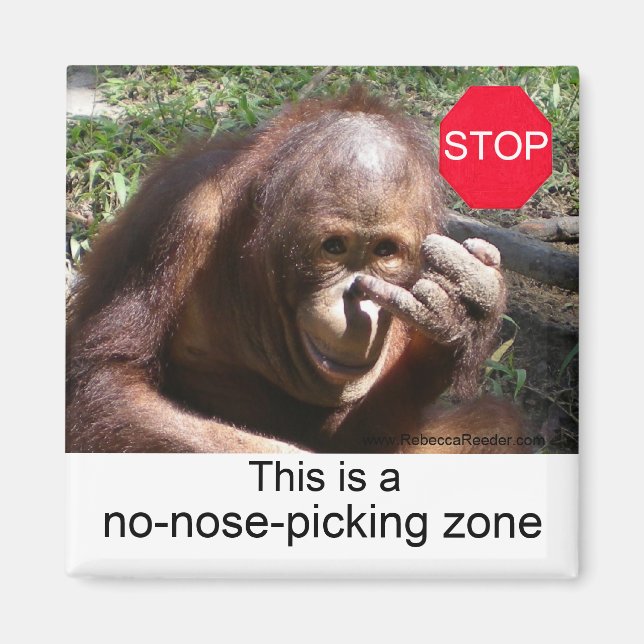 Aimant Leçons sur la vie animale no 1 (Devant)