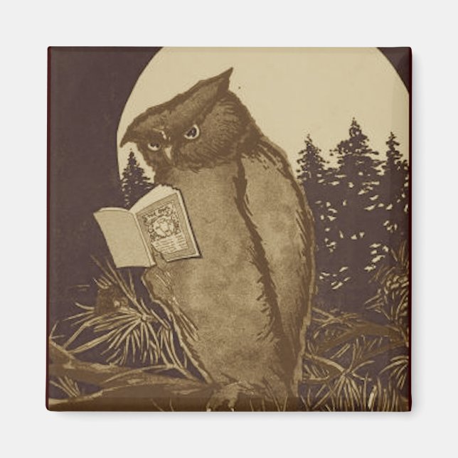 Aimant Lecture de Owl par Moonlight (Devant)