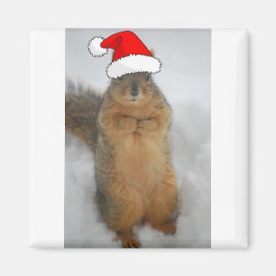 Aimant L'écureuil de Noël avec Père Noël