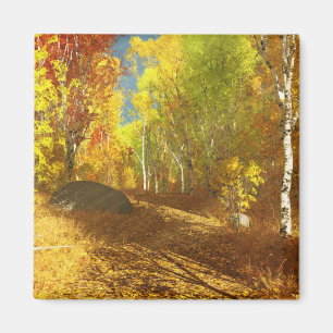 Aimant léger en chute