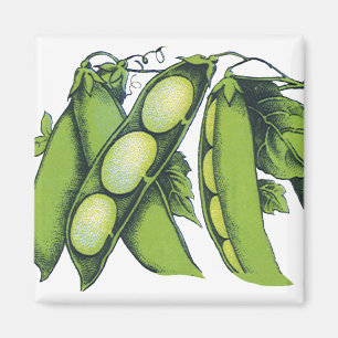 Aimant Légumes vintages ; Haricots de Lima, Aliments Agri