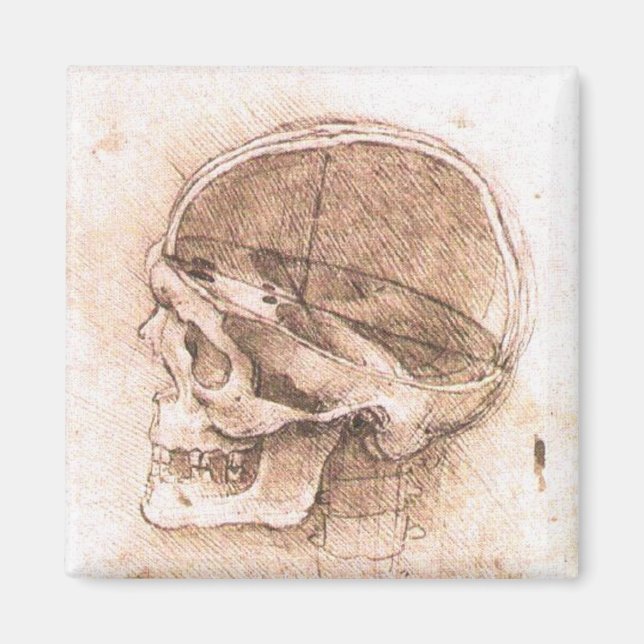 Aimant Léonard de Vinci Crâne Anatomie Art (Devant)