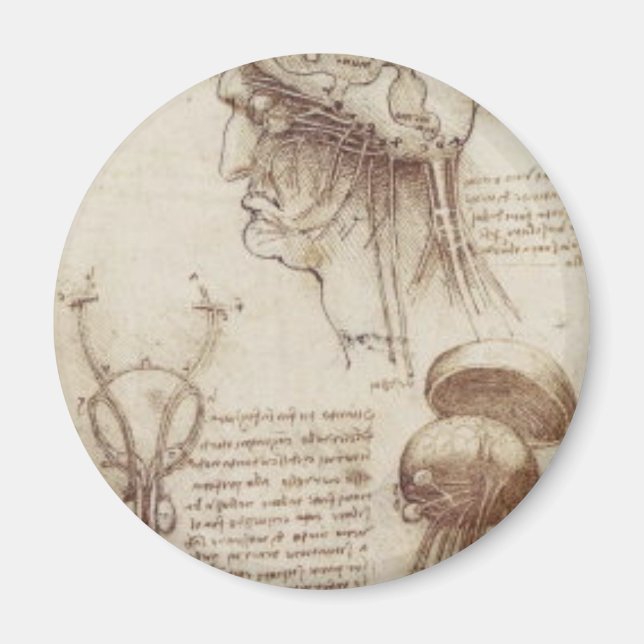 Aimant Leonardo da Vinci - Physiologie du cerveau (Devant)