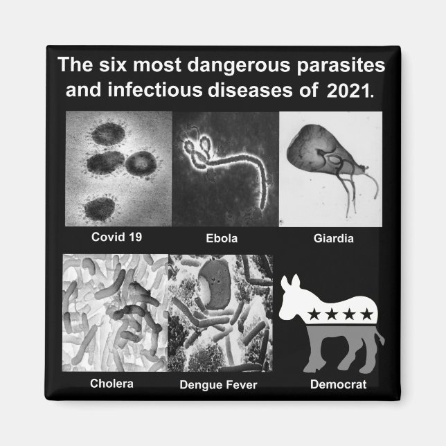 Aimant Les 6 parasites les plus dangereux et infectieux (Devant)