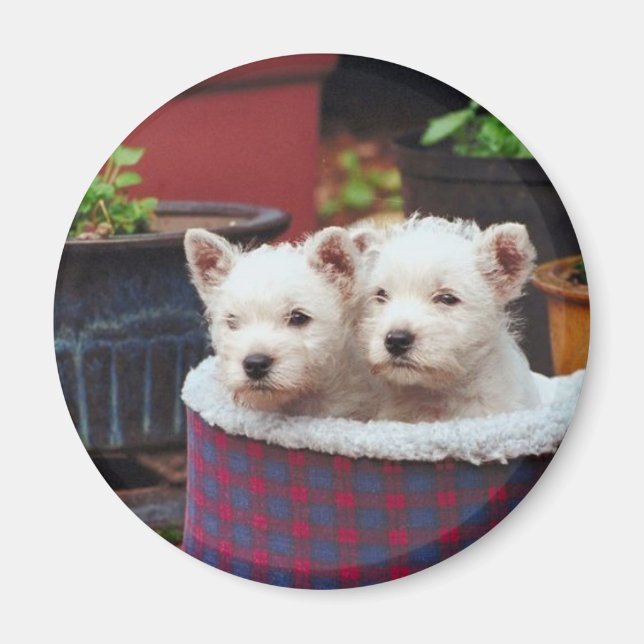 Aimant Les amis chiots (Devant)