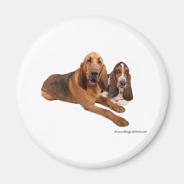 Aimant Les amis de Basset et de Bloodhound (Devant)