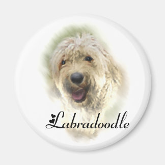 Aimant Les amoureux du Labradoodle