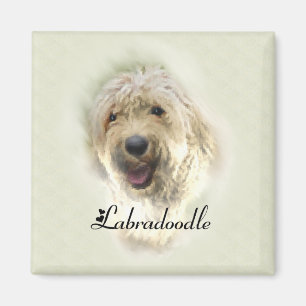 Aimant Les amoureux du Labradoodle