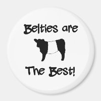 Les bibelots sont les meilleures vaches Galloway B