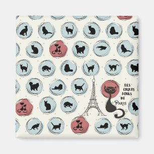 Aimant Les cause Noirs De Paris