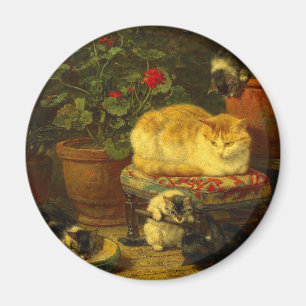 Aimant Les chatons en jeu
