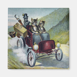 Aimant Les chats qui tournent les montagnes Catskill