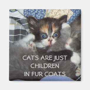 AIMANT LES CHATS SONT JUSTE DES ENFANTS DANS DES MANTEAUX
