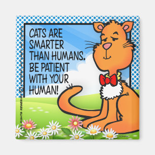 Aimant Les chats sont plus intelligents