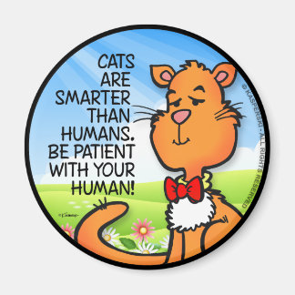 Aimant Les chats sont plus intelligents