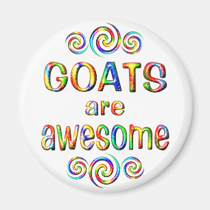 AIMANT LES CHAUSSURES SONT INCONTOURNABLES