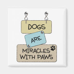 Aimant Les chiens sont des miracles avec l'aimant carré
