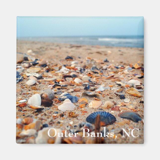 Aimant Les coquillages sur l'aimant de la plage (Devant)