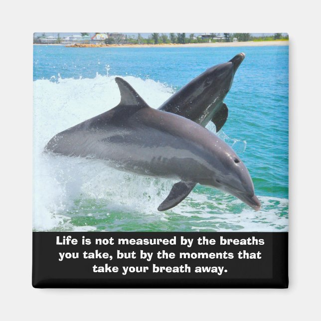 Aimant Les dauphins vous ôtent le souffle de l'aimant (Devant)