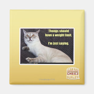 Aimant Les dents devraient avoir une limite de poids.