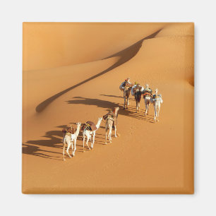 Aimant Les déserts Marche touareg avec chameaux