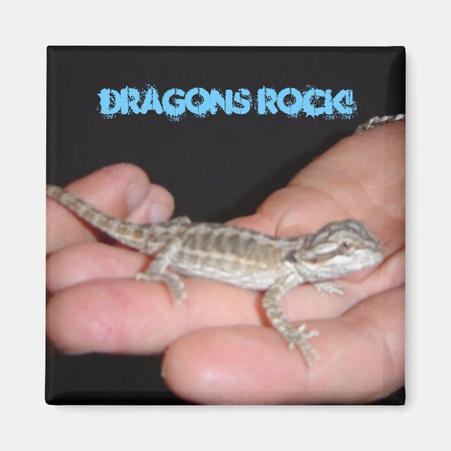 Aimant Les dragons rochent mon monde (Devant)
