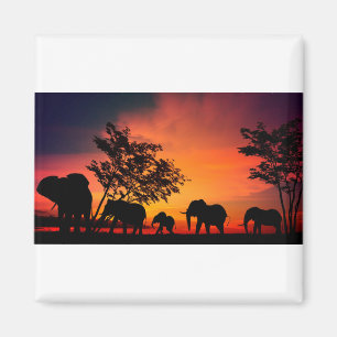 Aimant Les éléphants africains dans les plaines du Sere