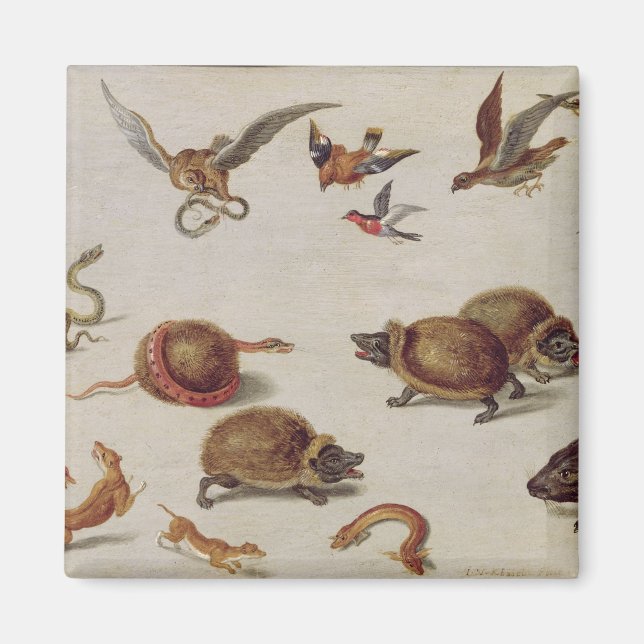 Aimant Les ennemis des serpents (Devant)