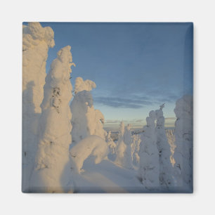 Aimant Les fantômes de neige au coucher du soleil à White