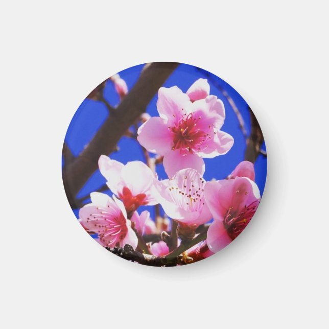 Aimant Les fleurs du printemps (Devant)