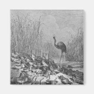 Aimant Les grenouilles demandant un roi,