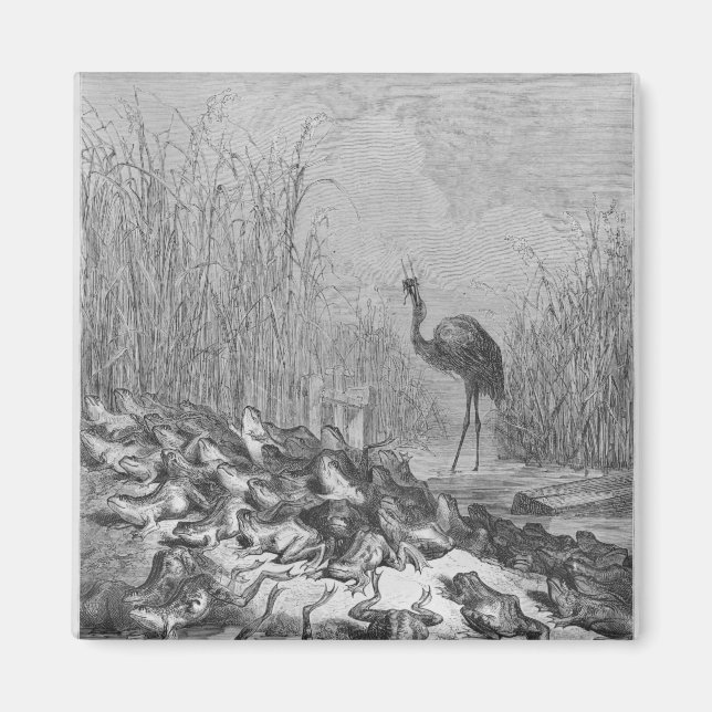 Aimant Les grenouilles qui demandent un roi, (Devant)