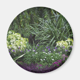 Aimant Les îles Grand Cayman