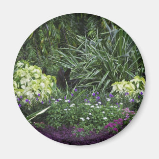 Aimant Les îles Grand Cayman