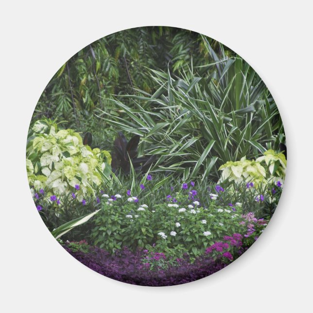 Aimant Les îles Grand Cayman (Devant)