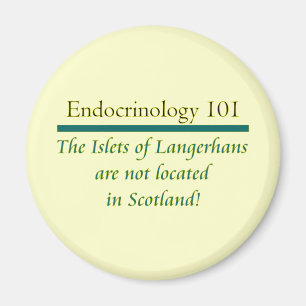 Aimant Les îlots de Langerhans