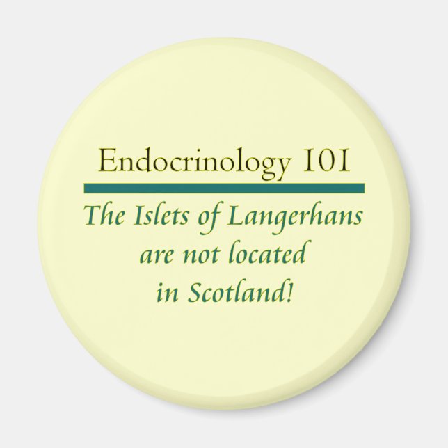 Aimant Les îlots de Langerhans (Devant)